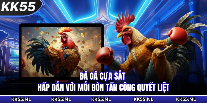 Đá Gà Cựa Sắt - Hấp Dẫn Với Mỗi Đòn Tấn Công Quyết Liệt