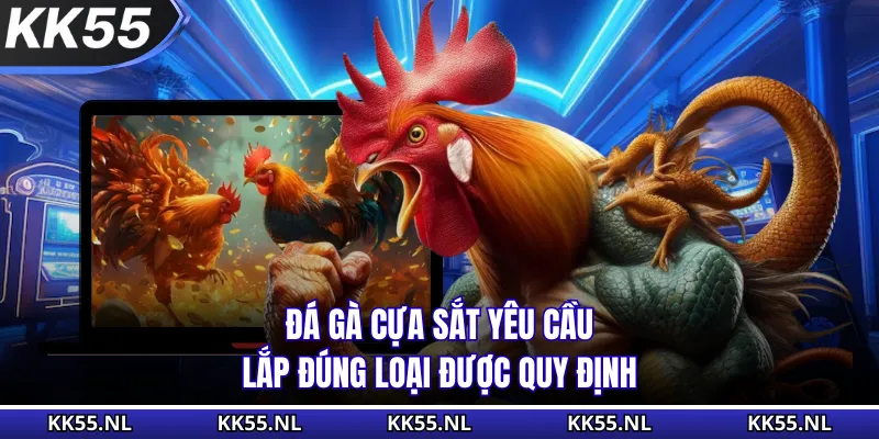 Đá gà cựa sắt yêu cầu lắp đúng loại được quy định