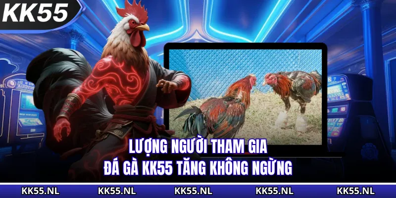 Lượng người tham gia đá gà KK55 tăng không ngừng