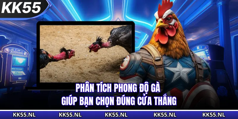 Phân tích phong độ gà giúp bạn chọn đúng cửa thắng